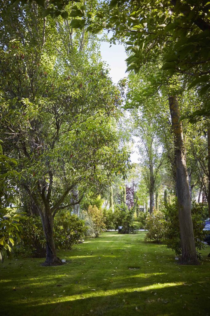 Sendero de césped rodeado de árboles y vegetación en La Quinta de Illescas