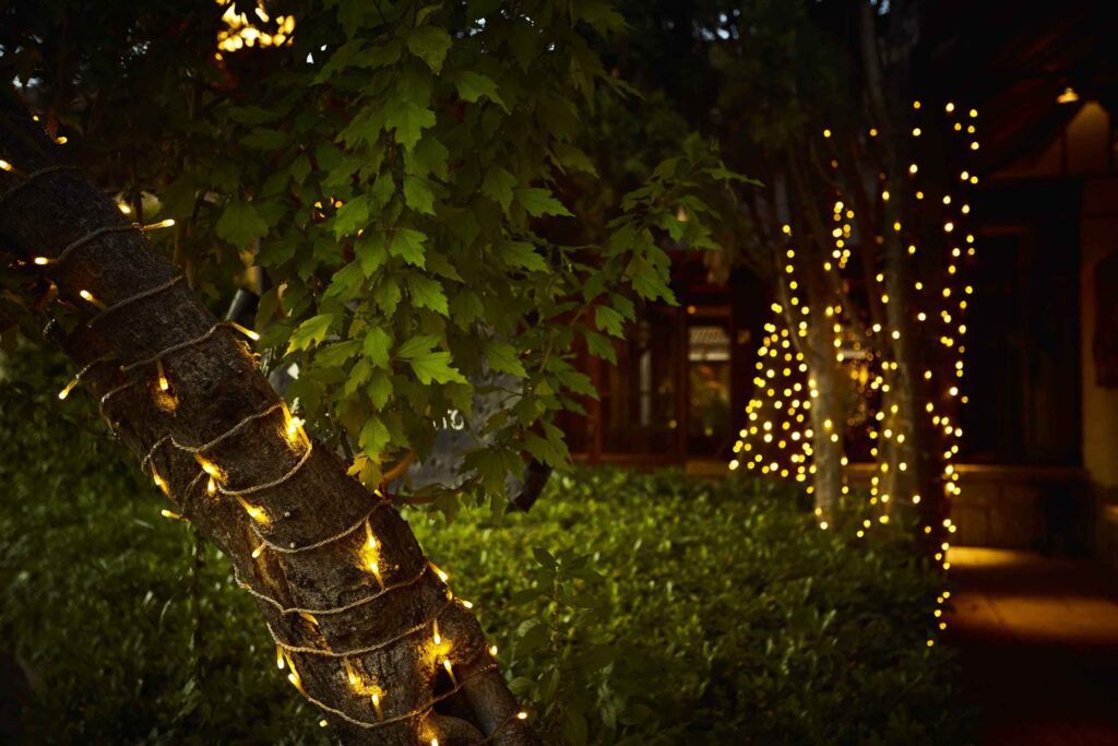 Árbol iluminado con luces cálidas en un ambiente exterior nocturno.
