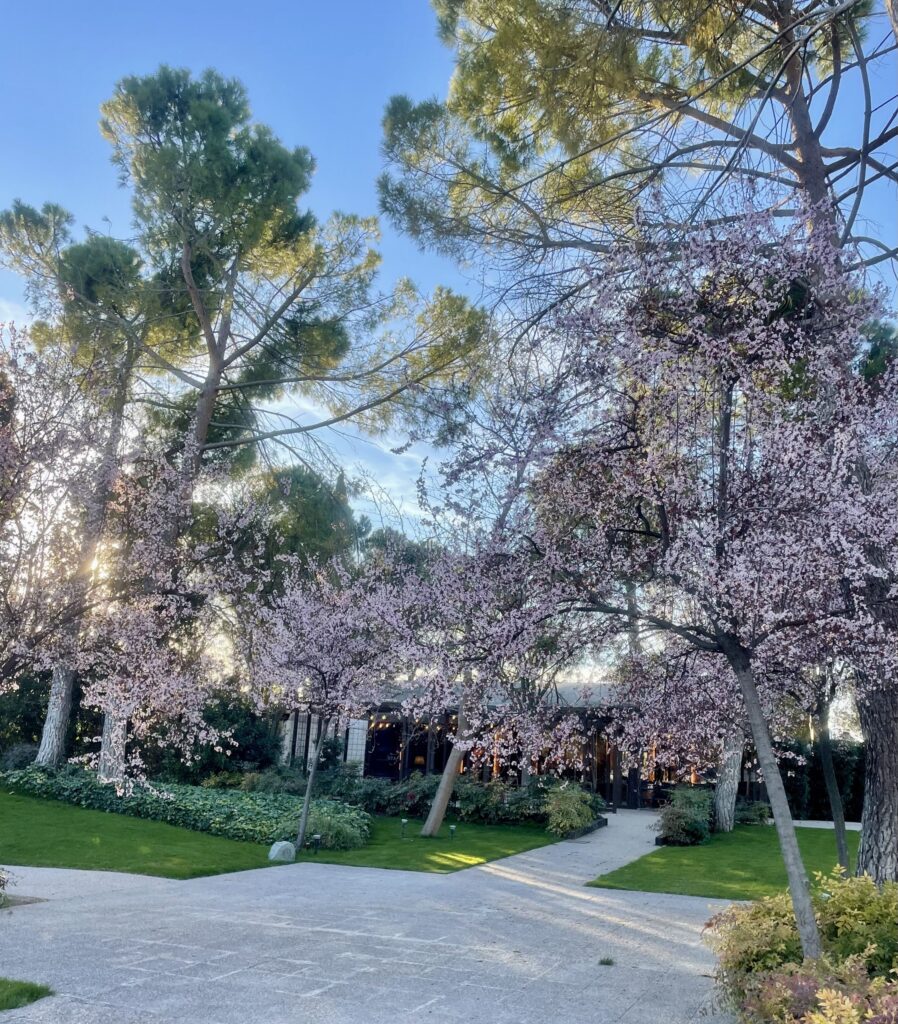 Jardines de las lunas