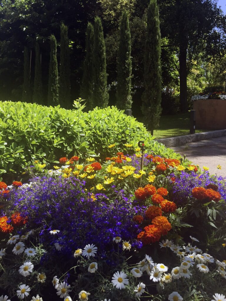 Jardín con flores de colores y cipreses altos en La Quinta de Illescas.
