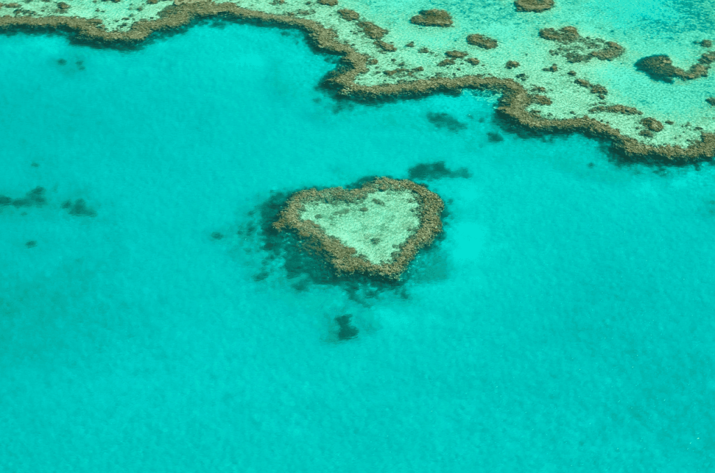 Arrecife en forma de corazón en aguas cristalinas.