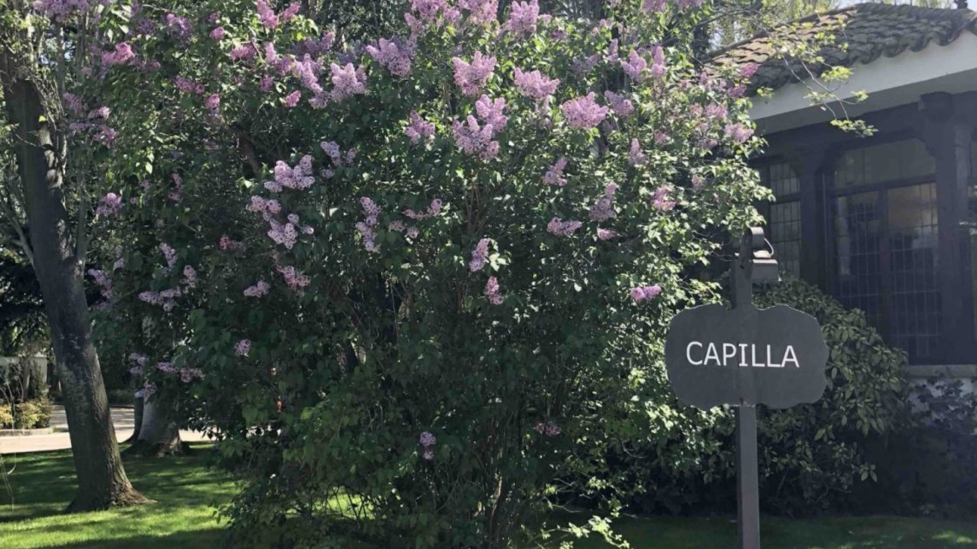 Jardín de la Quinta de Illescas con flores
